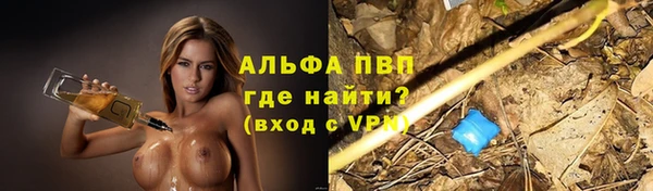 дмт Верея