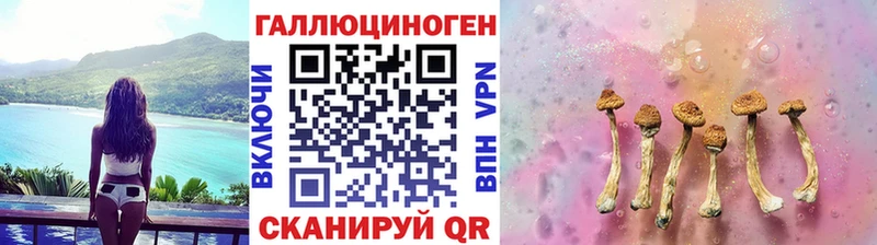 Купить где  Слюдянка  Псилоцибиновые грибы мухоморы 